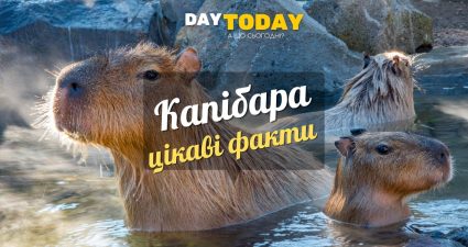 Ходімо далі? Наступна стаття