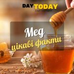 Цікаві факти про мед