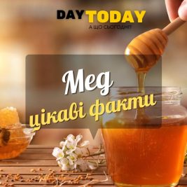 Цікаві факти про мед