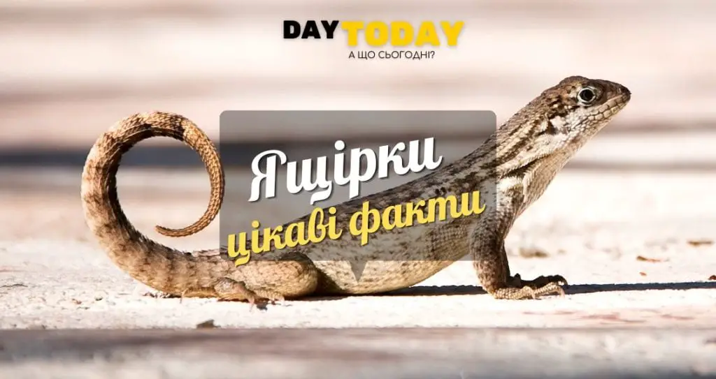 Цікаві факти про ящірки