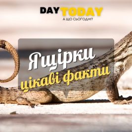 Цікаві факти про ящірки