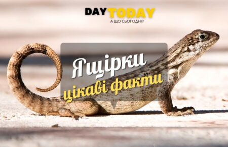 Цікаві факти про ящірки