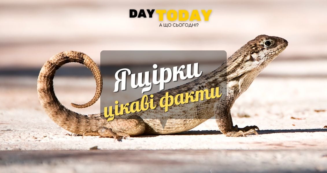 Цікаві факти про ящірки