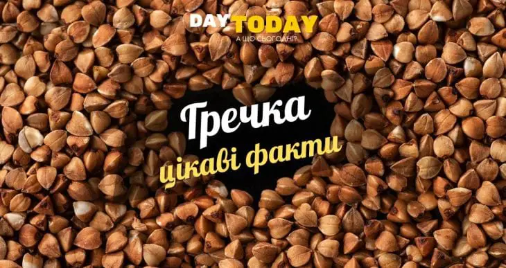 Цікаві факти про гречку