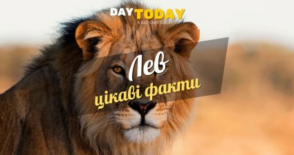 Ходімо далі? Наступна стаття