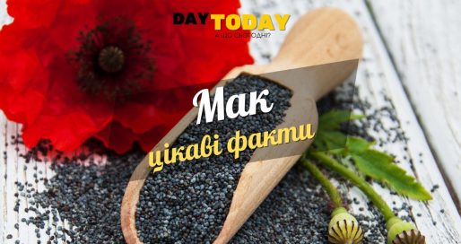 Цікаві факти про мак