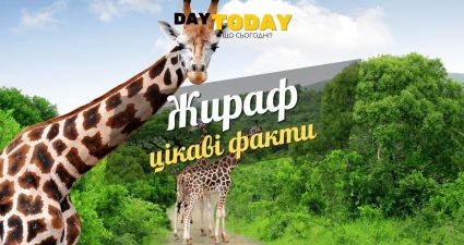 Ходімо далі? Наступна стаття