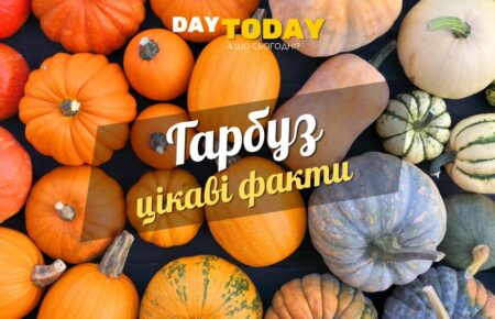 Цікаві факти про гарбуз