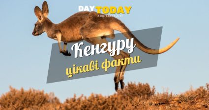 Ходімо далі? Наступна стаття