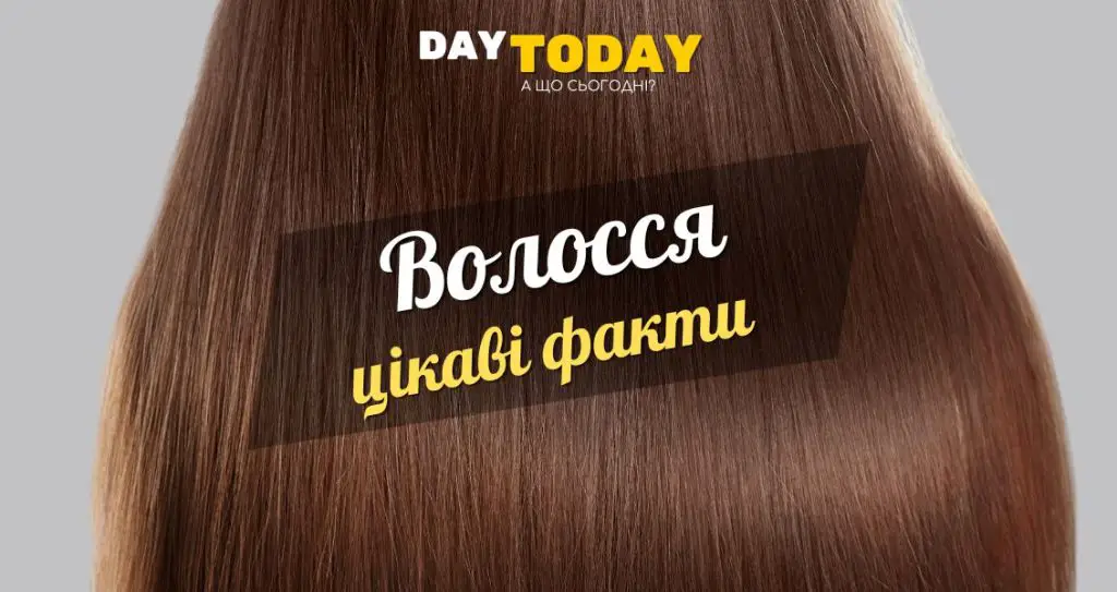 Цікаві факти про волосся