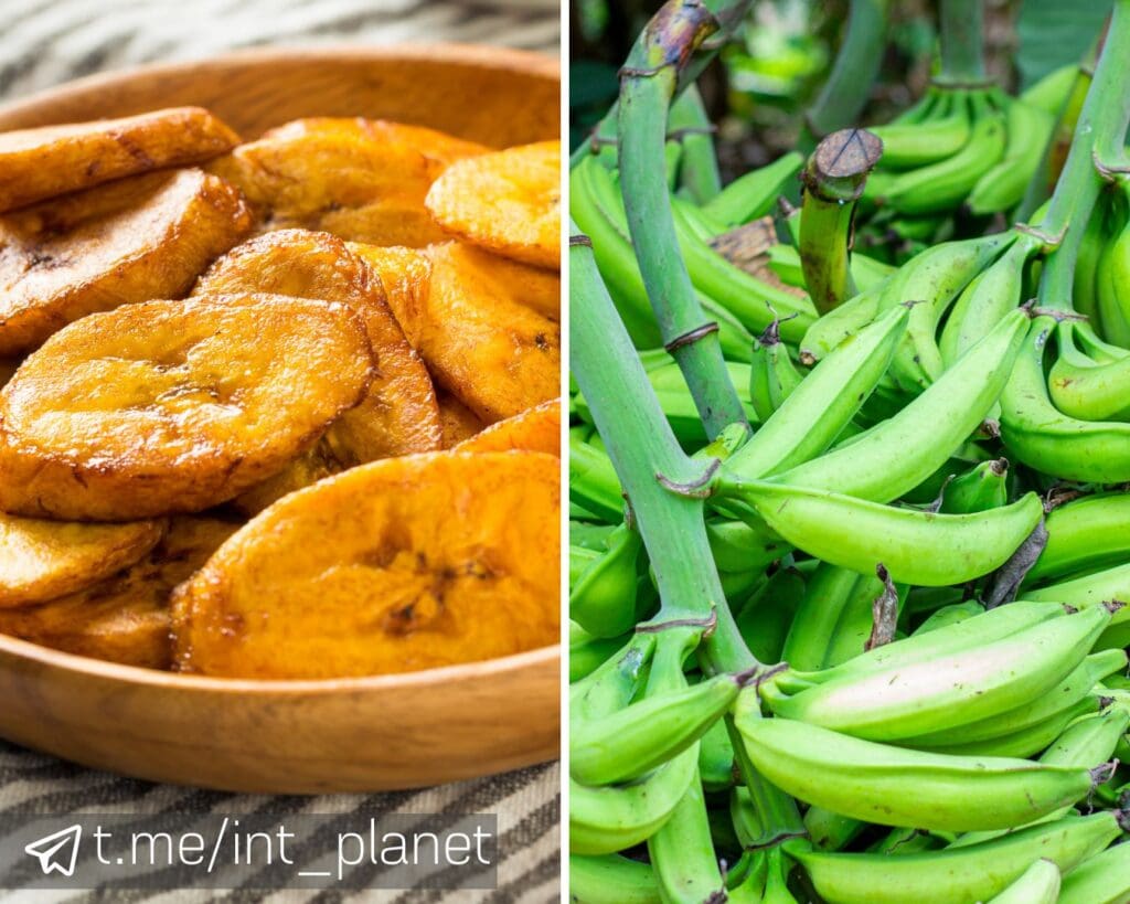 Смажений плантан та плантан на гілці.