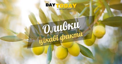 Ходімо далі? Наступна стаття