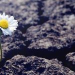 Міжнародний день "Ми не зломлені"