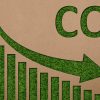Міжнародний день скорочення викидів CO2