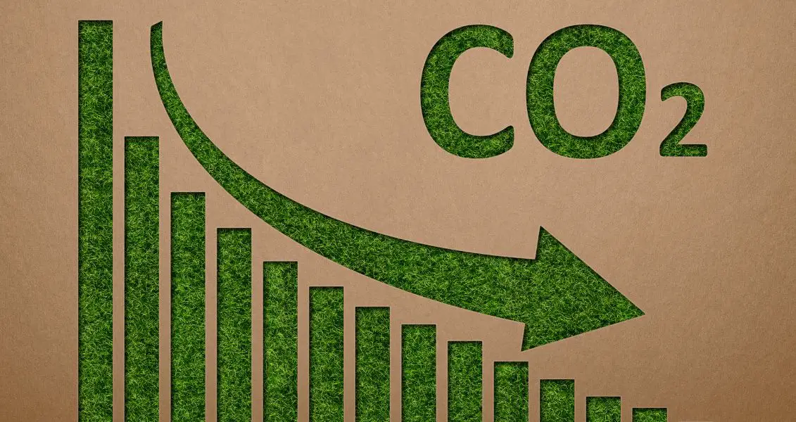Міжнародний день скорочення викидів CO2