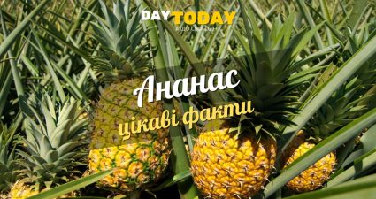 Ходімо далі? Наступна стаття