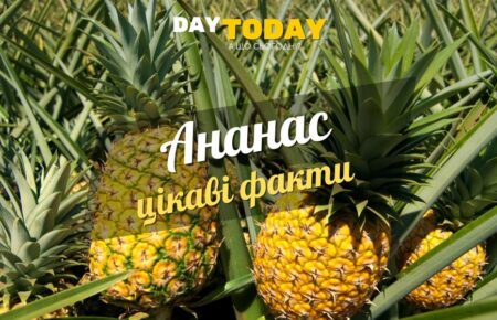Цікаві факти про ананас