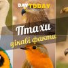 Цікаві факти про птахів