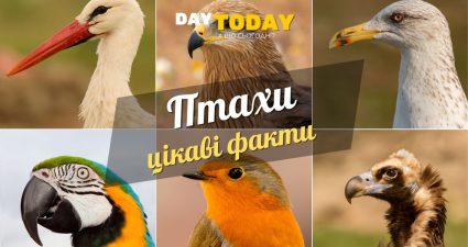 Ходімо далі? Наступна стаття