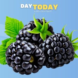 Ожина користь