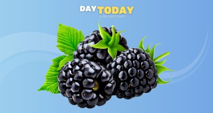 Ходімо далі? Наступна стаття