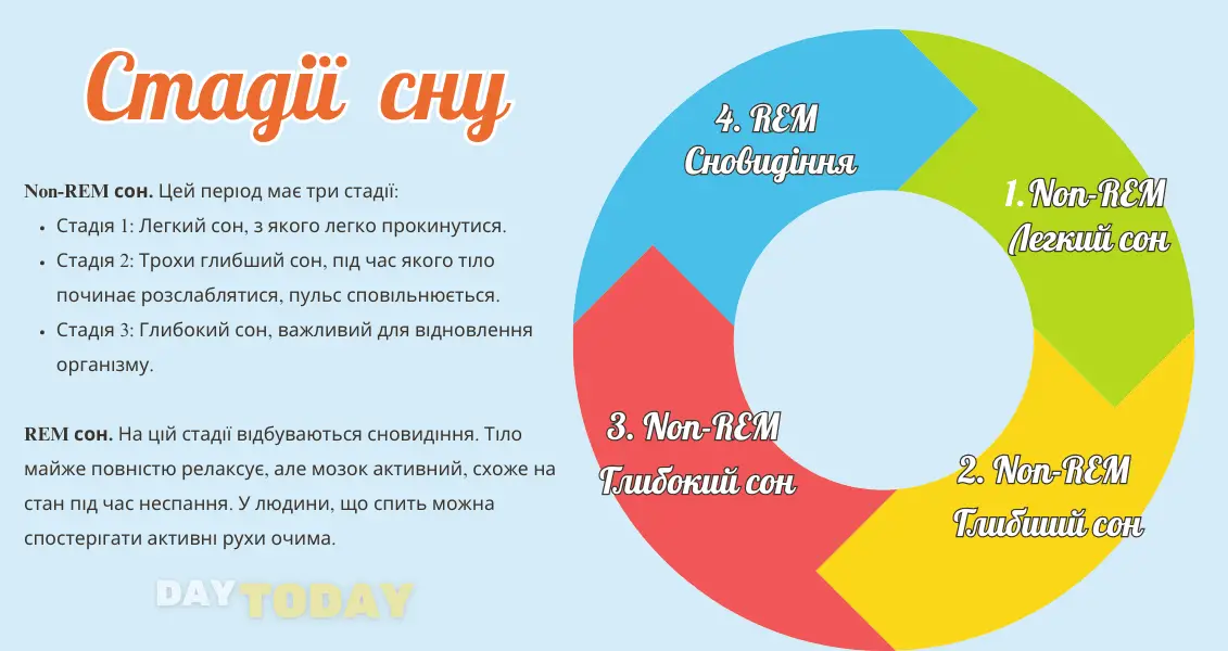 Здоровий сон - стадії сну