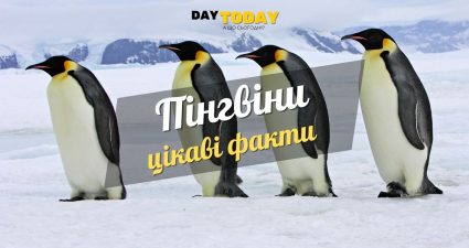 Ходімо далі? Наступна стаття