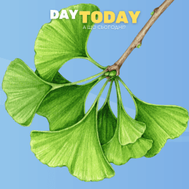 гінкго білоба користь