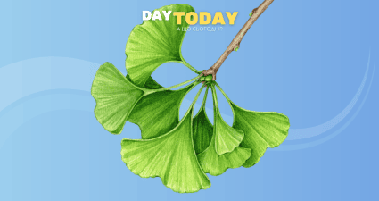 Ходімо далі? Наступна стаття