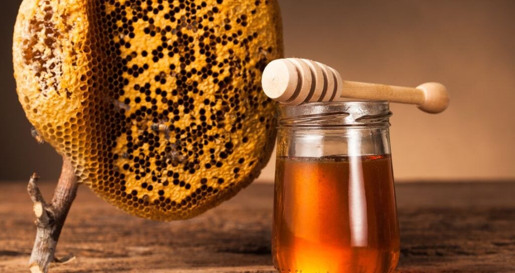 Мед та соти