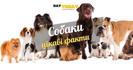 Ходімо далі? Наступна стаття