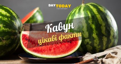 Ходімо далі? Наступна стаття