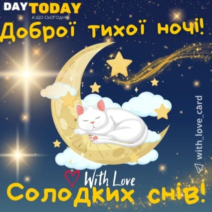 Добраніч! Тихої ночі! Солодких снів! картинка з котиком, місяцем та зірочками | Вітальна листівка - Доброї ночі - Теплі листівки