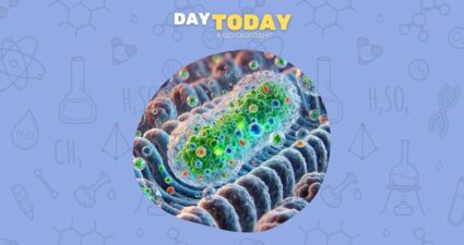 Ходімо далі? Наступна стаття