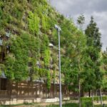 Міжнародний день зелених стін