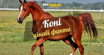 Ходімо далі? Наступна стаття