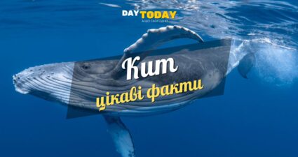 Ходімо далі? Наступна стаття