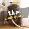 Цікаві факти про щурів