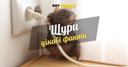 Ходімо далі? Наступна стаття