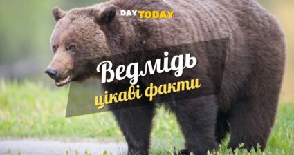 Ходімо далі? Наступна стаття