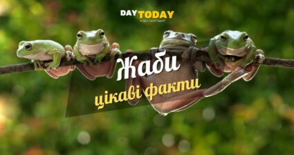 Ходімо далі? Наступна стаття