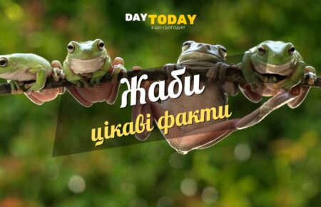 Цікаві факти про жаб