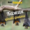 Цікаві факти про кажанів