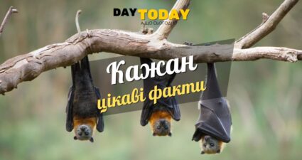 Ходімо далі? Наступна стаття