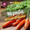 Цікаві факти про моркву