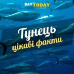 Цікаві факти про тунця