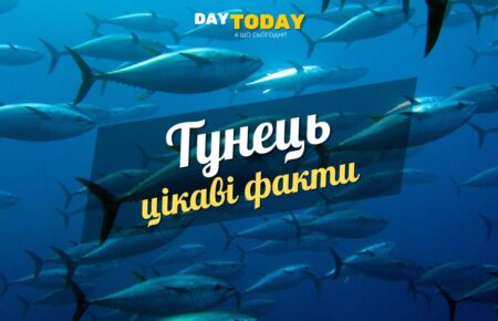 Цікаві факти про тунця