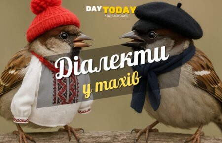 Діалекти у птахів