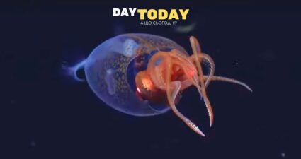 Ходімо далі? Наступна стаття