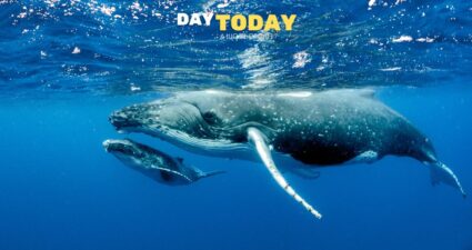 Ходімо далі? Наступна стаття